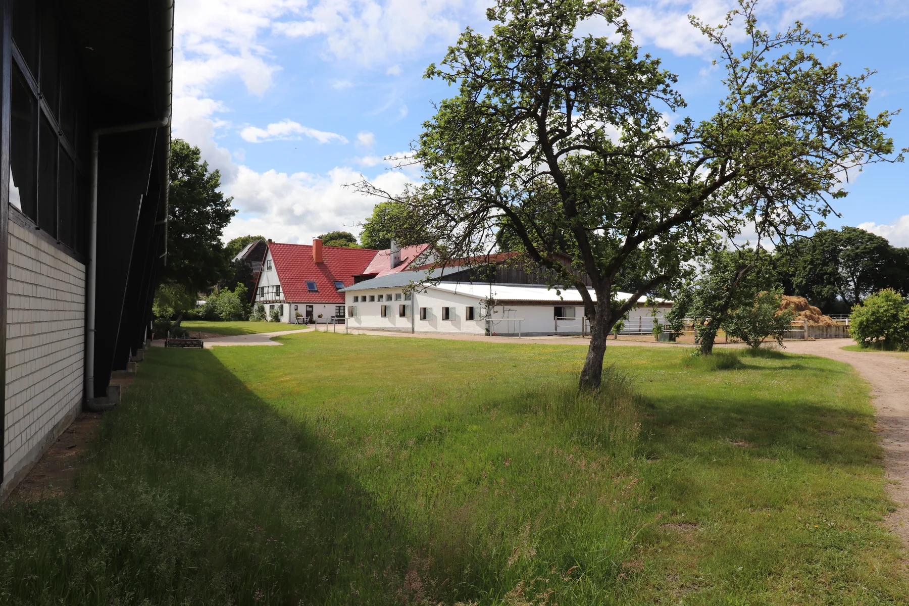 Blick über den gepflegten Hof mit Wohnhaus und Stallgebäude
