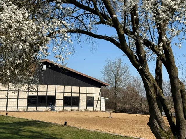Außenreitplatz vor der Reithalle