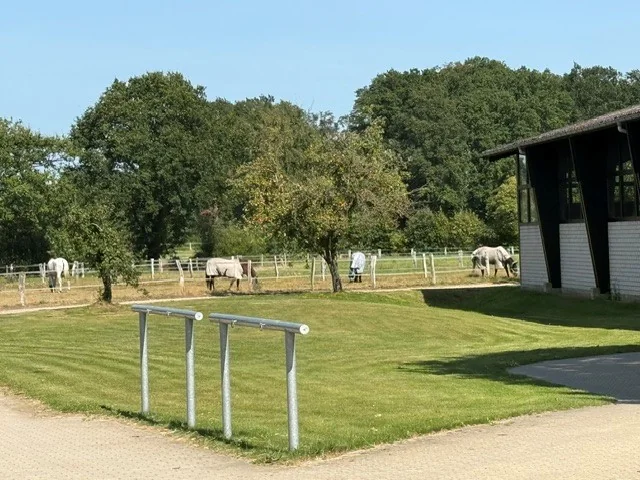 Außenputzplätze auf der gepflegten Hofanlage