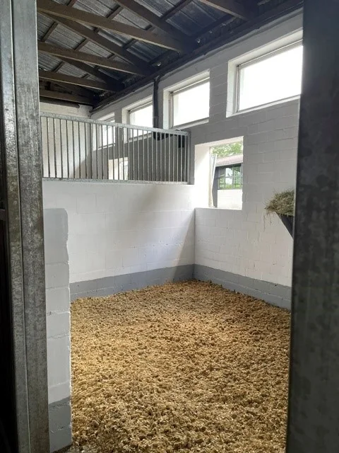 Helle eingestreute Pferdebox