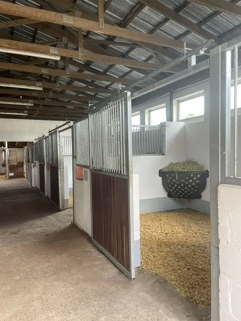 Helle Boxengasse mit großen Fenstern
