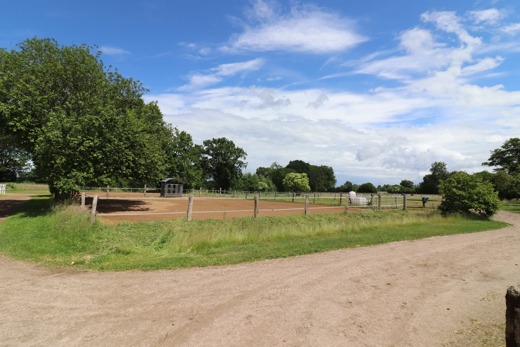 Weitläufige Sandpaddocks unter altem Baumbestand
