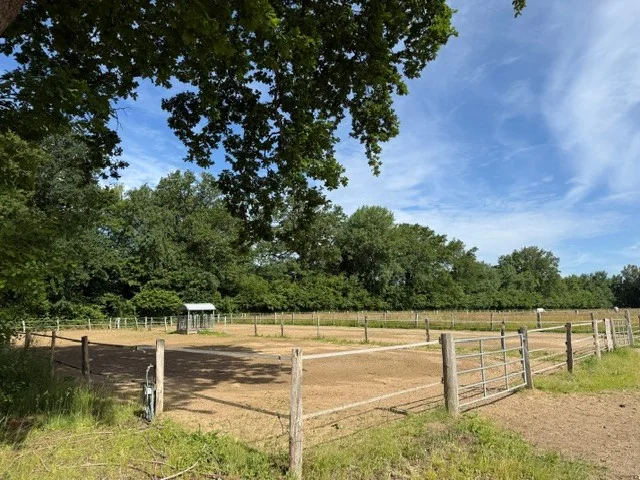 Sandpaddock mit überdachter Raufe