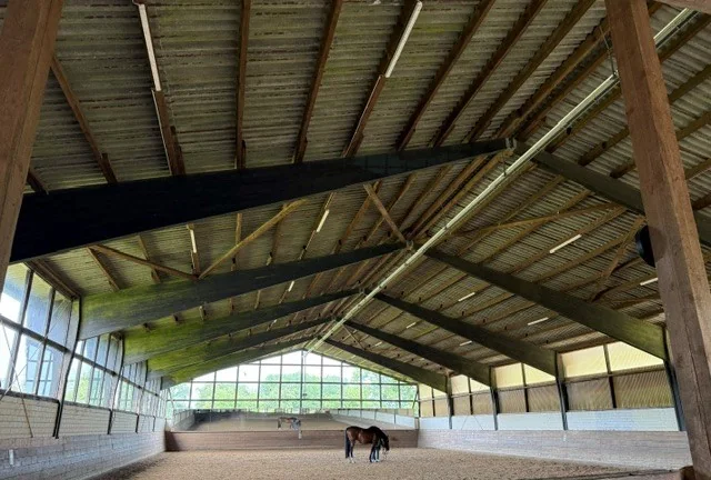 Innenansicht der hellen Reithalle mit gepflegtem Reitboden